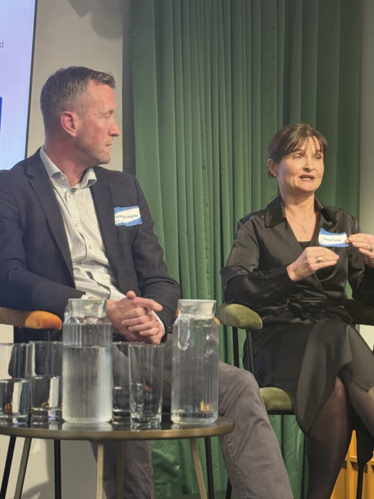 Helen Cahill and Se&aacute;n McLoughlin on the panel
